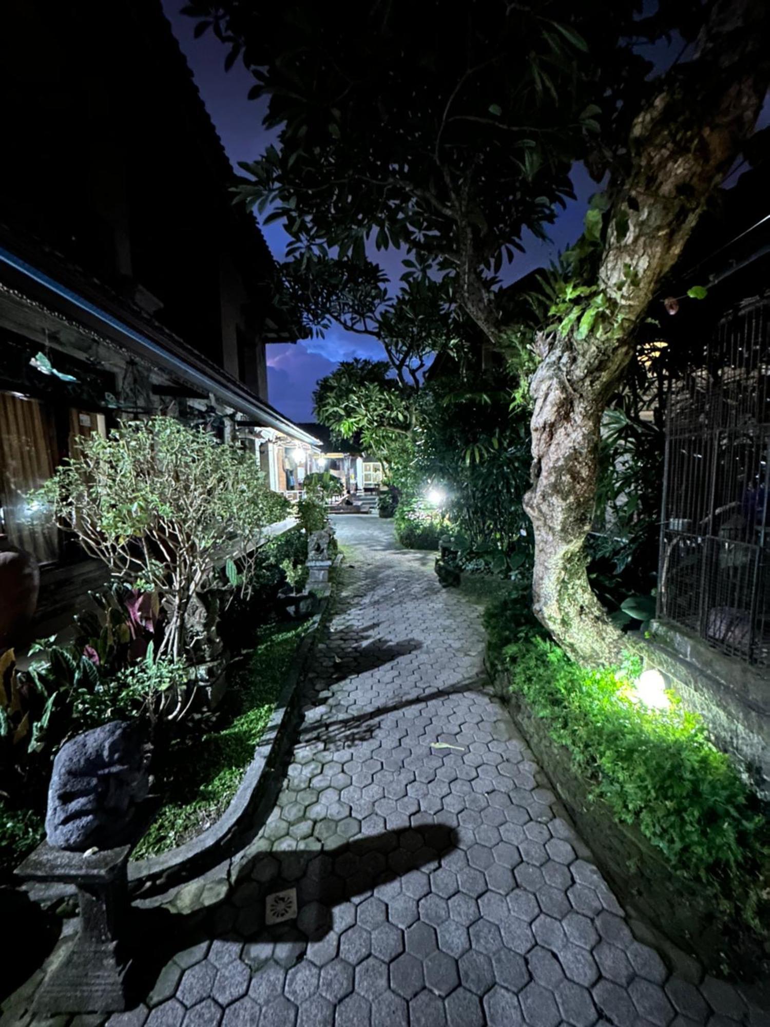 Nirvana Pension Ubud Exteriér fotografie