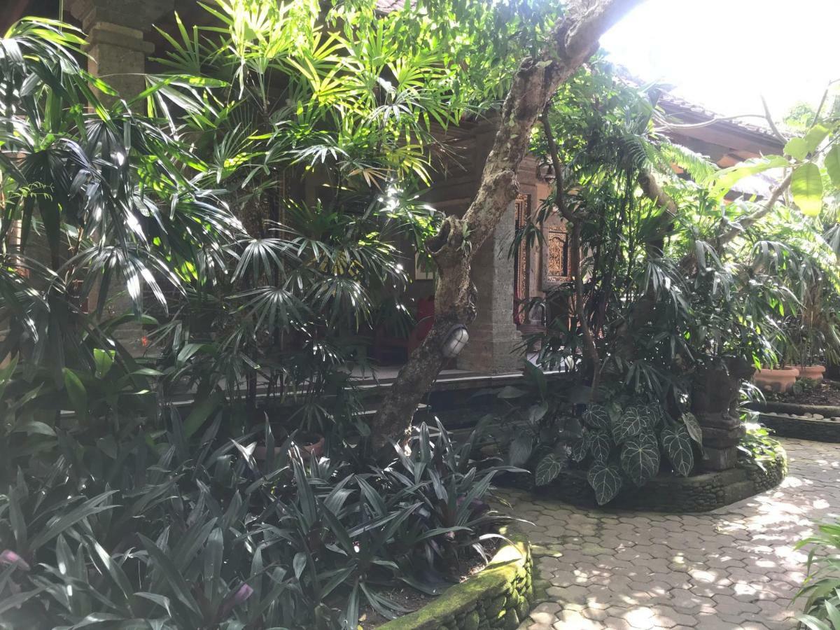 Nirvana Pension Ubud Exteriér fotografie